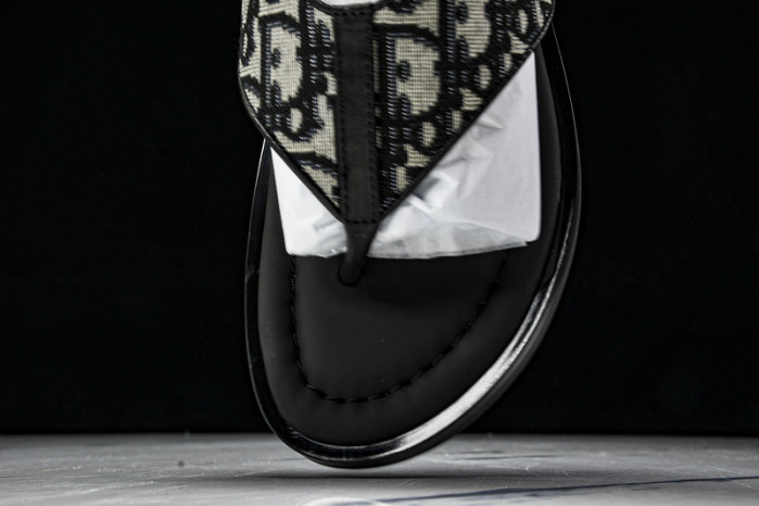 D1R* SLIDE copshoe DR-SLIDE 015